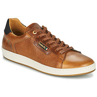 Chaussures Homme Baskets basses Pantofola d'Oro TERMI UOMO LOW 