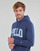 Kleidung Herren Sweatshirts Polo Ralph Lauren K216SC26 Blau