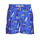 Kleidung Herren Badeanzug /Badeshorts Polo Ralph Lauren W221SC13 Blau / Bunt