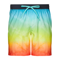 Vêtements Homme Maillots / Shorts de bain Quiksilver EVERYDAY FADED LOGO VOLLEY 17 