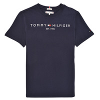Vêtements Enfant T-shirts manches courtes Tommy Hilfiger GRENOBLI 