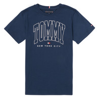 Vêtements Garçon T-shirts manches courtes Tommy Hilfiger AMIANSE 