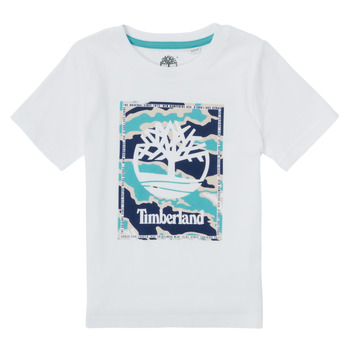 Vêtements Garçon T-shirts manches courtes Timberland NANARO 