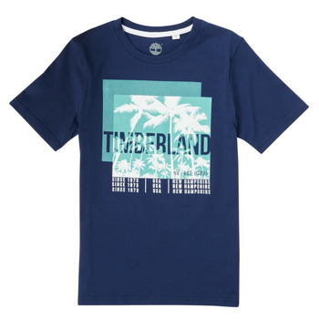 Abbigliamento Bambino T-shirt maniche corte Timberland HOVROW 