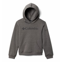 Kleidung Jungen Sweatshirts Columbia COLUMBIA TREK HOODIE Grau