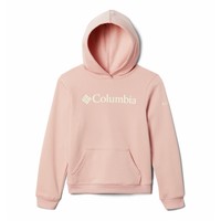 Vêtements Fille Sweats Columbia COLUMBIA TREK HOODIE 