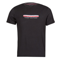 Vêtements Homme T-shirts manches courtes Tommy Hilfiger SS TEE 