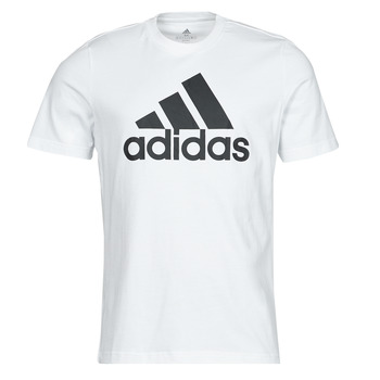Vêtements Homme T-shirts manches courtes Adidas Sportswear BL SJ T-SHIRT 