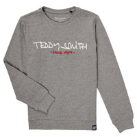 Kleidung Jungen Sweatshirts Teddy Smith S-MICKE Grau