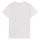 Vêtements Garçon T-shirts manches courtes Teddy Smith T-ALTINO 