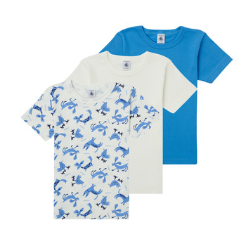 Kleidung Jungen T-Shirts Petit Bateau ADRIAN Bunt