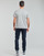 Kleidung Herren T-Shirts Levi's MT-GRAPHIC TEES Poster / Mhg