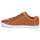 Chaussures Homme Baskets basses Fred Perry BASELINE LEATHER 