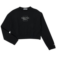 Kleidung Mädchen Sweatshirts Calvin Klein Jeans METALLIC BOX LOGO SWEATSHIRT    