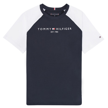 Vêtements Garçon T-shirts manches courtes Tommy Hilfiger KB0KB07754-DW5 