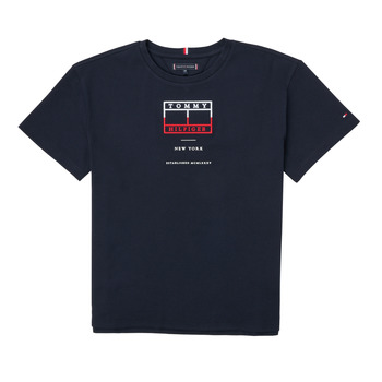 Vêtements Garçon T-shirts manches courtes Tommy Hilfiger KB0KB07598-DW5 