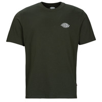 Vêtements Homme T-shirts manches courtes Dickies HOLTVILLE TEE 