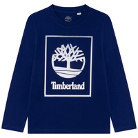 Vêtements Garçon T-shirts manches longues Timberland T25T31-843 