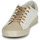 Schuhe Damen Sneaker Low Le Temps des Cerises SOHO Weiß / Beige / Golden