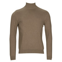 Vêtements Homme Pulls Selected SLHBERG ROLL NECK 
