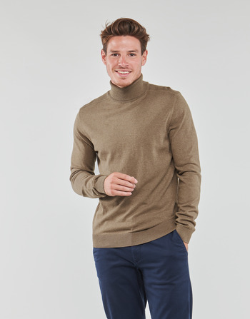 Vêtements Homme Pulls Selected SLHBERG ROLL NECK 