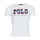 Kleidung Herren T-Shirts Polo Ralph Lauren G223SC41-SSCNCMSLM1-SHORT SLEEVE-T-SHIRT Weiß