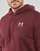 Vêtements Homme Sweats Under Armour UA Essential Fleece Hoodie 