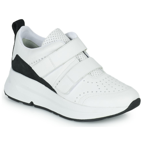 Chaussures Femme Baskets basses Geox  