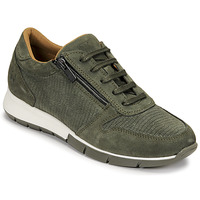 Chaussures Femme Baskets basses Dream in Green ARTEMISIA 