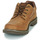 Schuhe Herren Derby-Schuhe Caterpillar COLORADO LOW 2.0 / SHOES Braun,