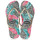 Chaussures Femme Tongs Havaianas SLIM ANIMAL FLORAL 