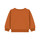 Kleidung Jungen Sweatshirts Petit Bateau CARTABLE Braun,