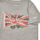 Vêtements Garçon T-shirts manches courtes Pepe jeans FLAG LOGO JR S/S N 
