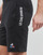 Vêtements Homme Shorts / Bermudas Le Coq Sportif ESS Short Regular N°1 M 