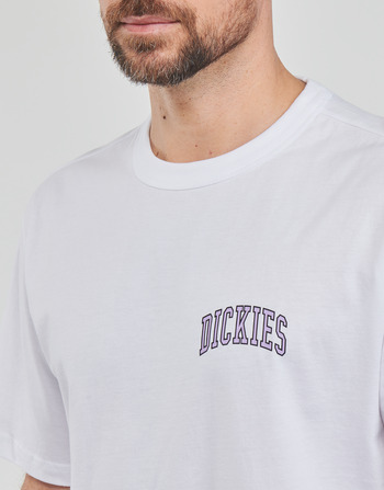 Dickies AITKIN CHEST TEE SS 