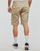 Vêtements Homme Shorts / Bermudas Dickies MILLERVILLE SHORT 