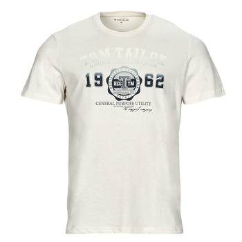 Abbigliamento Uomo T-shirt maniche corte Tom Tailor 1027028 