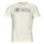 Vêtements Homme T-shirts manches courtes Tom Tailor 1035611 
