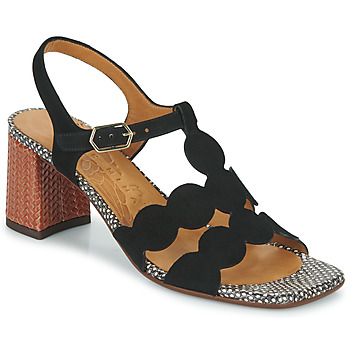 Chaussures Femme Sandales et Nu-pieds Chie Mihara LUCALA 
