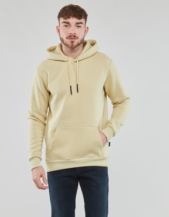 Vêtements Homme Sweats Only & Sons  ONSCERES HOODIE SWEAT 