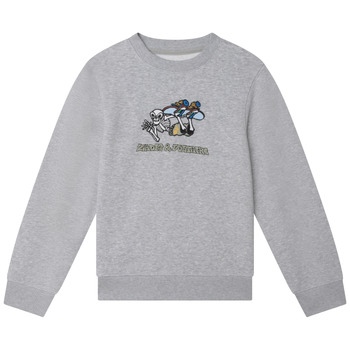 Kleidung Jungen Sweatshirts Zadig & Voltaire X25374-A35-J Grau / Hell