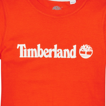 Timberland T25T77 