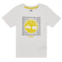 Abbigliamento Bambino T-shirt maniche corte Timberland T25T97 