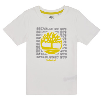 Vêtements Garçon T-shirts manches courtes Timberland T25T97 