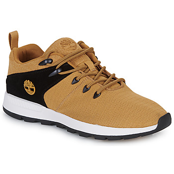 Chaussures Homme Baskets basses Timberland SPRINT TREKR LOW KNIT 