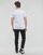 Abbigliamento Uomo T-shirt maniche corte Calvin Klein Jeans MICRO MONOLOGO TEE 