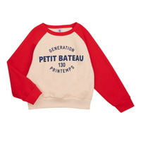 Kleidung Jungen Sweatshirts Petit Bateau FORGET Bunt