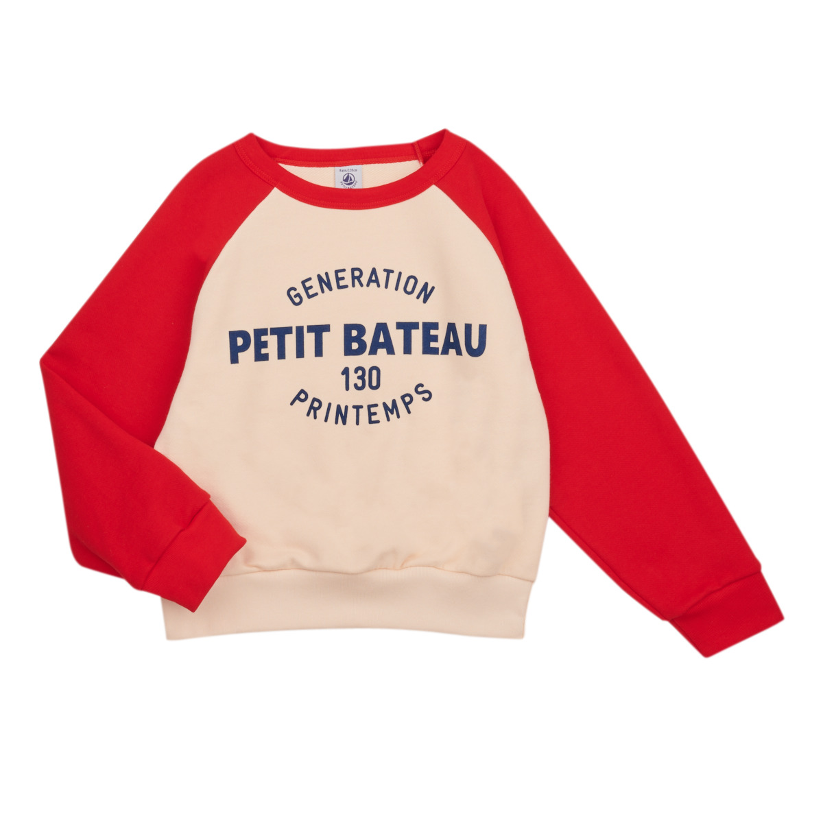 Kleidung Jungen Sweatshirts Petit Bateau FORGET Bunt