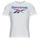 Kleidung Herren T-Shirts Reebok Classic Big Logo Tee Weiß