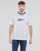 Vêtements Homme T-shirts manches courtes Reebok Classic Arch Logo Vectorr Tee 